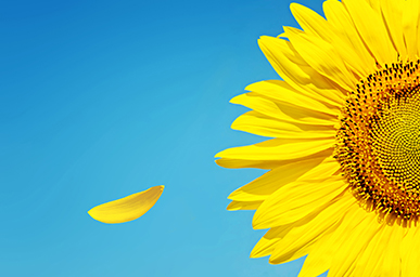 �ڲ�tengbo9885_��ҳ(��ӭ��)