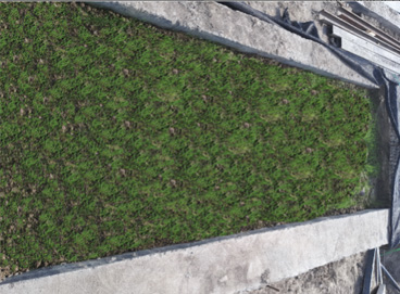 �ڲ�tengbo9885_��ҳ(��ӭ��)