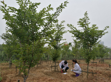 �ڲ�tengbo9885_��ҳ(��ӭ��)