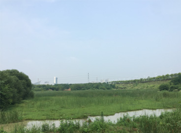 �ڲ�tengbo9885_��ҳ(��ӭ��)