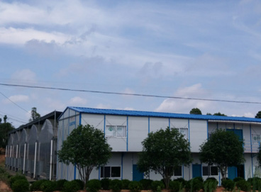 �ڲ�tengbo9885_��ҳ(��ӭ��)