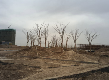 �ڲ�tengbo9885_��ҳ(��ӭ��)