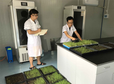 �ڲ�tengbo9885_��ҳ(��ӭ��)