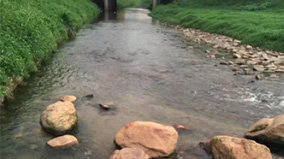 �ڲ�tengbo9885_��ҳ(��ӭ��)