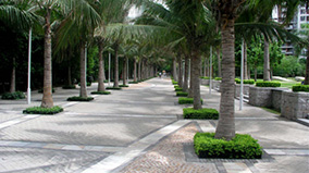 �ڲ�tengbo9885_��ҳ(��ӭ��)