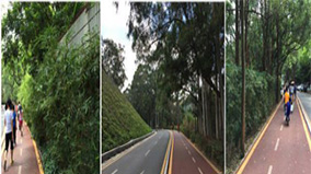 �ڲ�tengbo9885_��ҳ(��ӭ��)