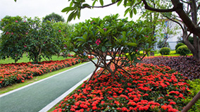 �ڲ�tengbo9885_��ҳ(��ӭ��)