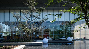 �ڲ�tengbo9885_��ҳ(��ӭ��)