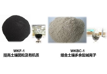 �ڲ�tengbo9885_��ҳ(��ӭ��)