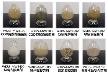 �ڲ�tengbo9885_��ҳ(��ӭ��)