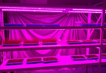 �ڲ�tengbo9885_��ҳ(��ӭ��)