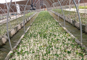 �ڲ�tengbo9885_��ҳ(��ӭ��)