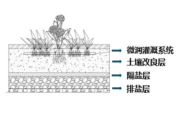 �ڲ�tengbo9885_��ҳ(��ӭ��)