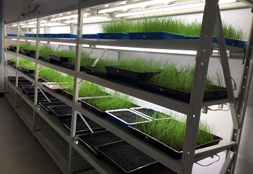 �ڲ�tengbo9885_��ҳ(��ӭ��)