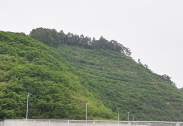 �ڲ�tengbo9885_��ҳ(��ӭ��)