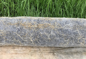 �ڲ�tengbo9885_��ҳ(��ӭ��)